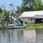 OTRA2014_1518 (September 03, 2014)